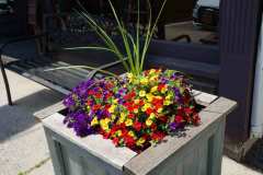 Katonah-in-Bloom8