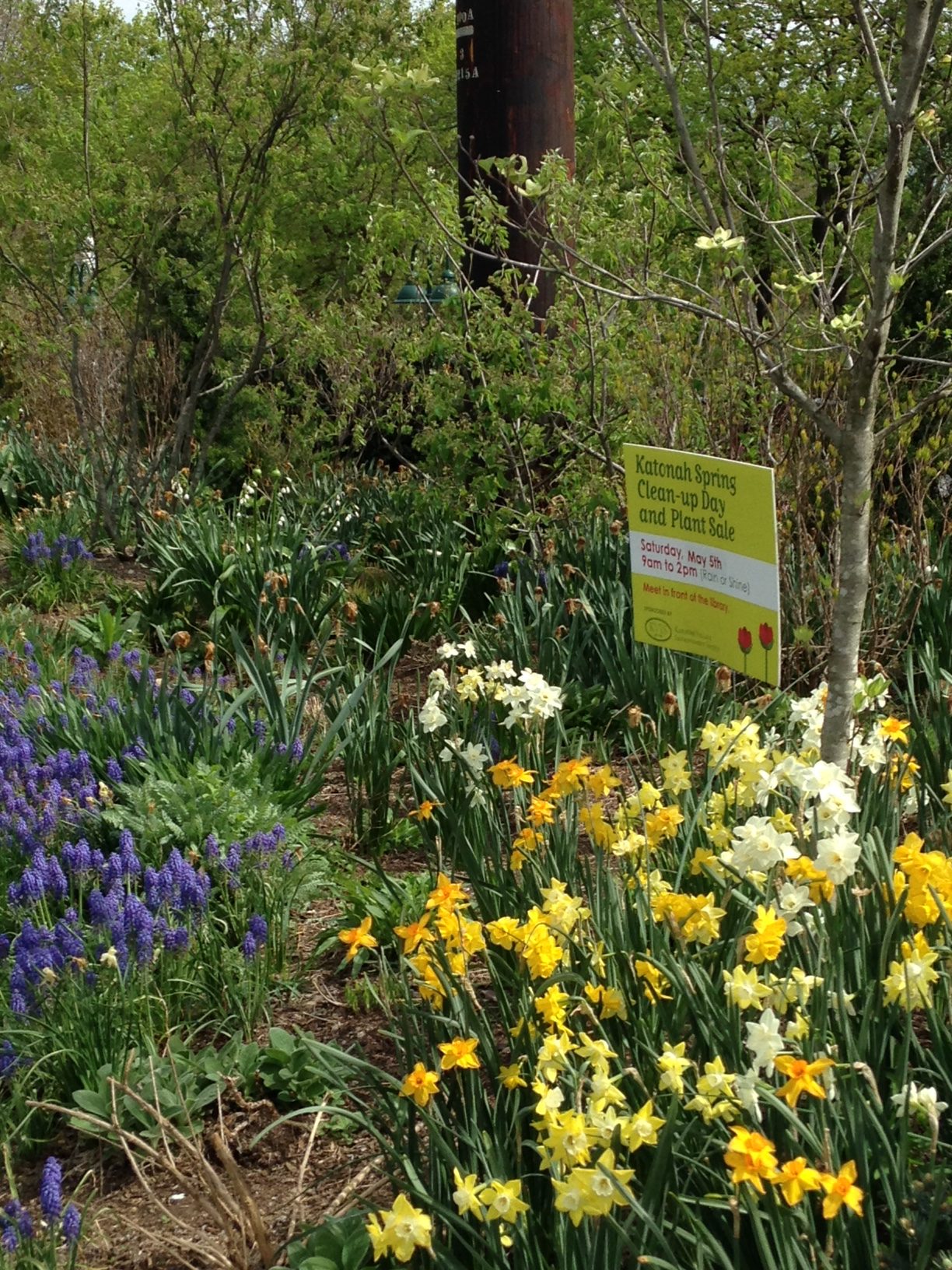 Spring Clean Up Day Katonah Village Improvement Society